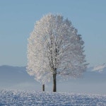2026년 인도네시아 마타하리 두타 플라자 여행: 인기 액티비티 추천 마타하리 두타 플라자