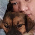 아리산 여행 정보와 후기 정리 아리산