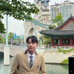 강아지 농장 여행 정보와 후기 정리 강아지 농장