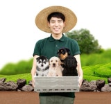 대형견 분양에도 ‘프리미엄 아울렛’이 있다 < 미디어뷰 < 기사본문 - 한국미디어뉴스통신 대형견 분양에도 ‘프리미엄 아울렛’이 있다... 