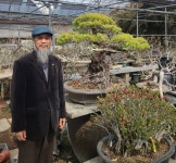 명자분재사랑곳 심근도 대표 “당산나무, 보호수 이제 지역민들에게... 명자분재사랑곳 심근도 대표 “당산나무, 보호수 이제 지역민들에게... 