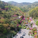 “23년 ‘식물 낙원’ 고운식물원, 국가 연구 거점으로 새 역사… 2027년 충남산림자원연구소 전환” < 충청 < 전국 < 기사본문... 