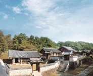 임진강을 따라 걷는 시간여행, 벚나무를 따라 걷는 봄꽃여행 (평화누리길, DMZ 사색(四色)하다 ③) < 경기 < 전국 < 기사본문... 