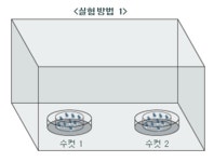 여자는 ‘임자있는 남자’에 더 끌린다? - 코메디닷컴