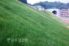 ‘폭우’도 흔들지 못한 신녹화공법의 기세 < 기술과자재 < 산업·공모 < 기사본문 - Landscape Times ‘폭우’도 흔들지 못한 신녹화공법의... 