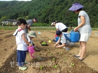 서울시, 친환경농장 분양 중 < 지역사업 < 정원·산림 < 기사본문 - Landscape Times 서울시, 친환경농장 분양 중