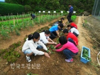 광주, 학교텃밭 ‘스쿨팜’ 운영 < 도시농업 < 정원·산림 < 기사본문 - Landscape Times 광주, 학교텃밭 ‘스쿨팜’ 운영