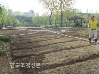 용산가족공원 내 친환경 텃밭 개장 < 지역사업 < 정원·산림 < 기사본문 - Landscape Times 용산가족공원 내 친환경 텃밭 개장