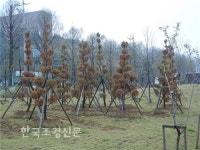 [미안하다 나무야] 수목관리 &#8211; 식재 후 사후관리 ① < 기고... Landscape Times [미안하다 나무야] 수목관리 &#8211; 식재 후 사후관리 ①
