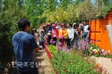 [포토뉴스] 시계토끼의 눈으로 본 이상한 나라 < 박람회 < 정원·산림 < 기사본문 - Landscape Times [포토뉴스] 시계토끼의 눈으로 본 이상한...