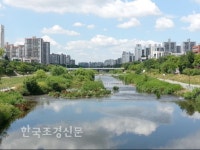 [시정이 꽃피는 나무] 탄천 < 환경생태·문화 < 기사본문 - Landscape Times [시정이 꽃피는 나무] 탄천