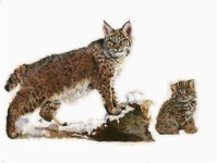 국립생물자원관, 제10회 자생 세밀화 공모전 수상작 발표 < 디자인 공모 < 환경생태·문화 < 기사본문 - Landscape Times 국립생물자원관... 