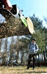 [포토뉴스]경진이레 ‘그린웍스 딜러 컨퍼런스’개최 < 기술과... Landscape Times [포토뉴스]경진이레 ‘그린웍스 딜러 컨퍼런스’개최