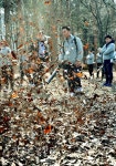 [포토뉴스]경진이레 ‘그린웍스 딜러 컨퍼런스’개최 < 기술과... Landscape Times [포토뉴스]경진이레 ‘그린웍스 딜러 컨퍼런스’개최