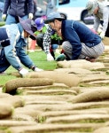 [포토뉴스]서울광장 ‘잔디식재 작업’ 시작 < 정부기관 < 환경생태·문화 < 기사본문 - Landscape Times [포토뉴스]서울광장 ‘잔디식재... 