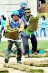 [포토뉴스]서울광장 ‘잔디식재 작업’ 시작 < 정부기관 < 환경생태·문화 < 기사본문 - Landscape Times [포토뉴스]서울광장 ‘잔디식재... 