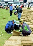 [포토뉴스]서울광장 ‘잔디식재 작업’ 시작 < 정부기관 < 환경생태·문화 < 기사본문 - Landscape Times [포토뉴스]서울광장 ‘잔디식재... 