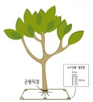 수목보호 트리가드·트리매트로 고민 해결 < 기술과자재 < 산업·공모 < 기사본문 - Landscape Times 수목보호 트리가드·트리매트로 고민 해결