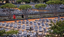 [그곳에 가면] ‘고스락’ 흐트러짐 없는 4000개의 항아리 압권 < 힐링 < 환경생태·문화 < 기사본문 - Landscape Times [그곳에 가면]... 