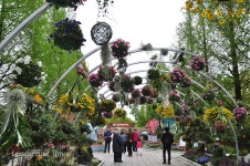 2019 고양국제꽃박람회, 평화로 꽃 피우다 < 가든쇼 < 정원·산림 < 기사본문 - Landscape Times 2019 고양국제꽃박람회, 평화로 꽃 피우다