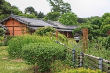 [그곳에 가면] 충북 1호 민간정원, 충주 서유숙 펜션 < 힐링 < 환경생태·문화 < 기사본문 - Landscape Times [그곳에 가면] 충북 1호 민간정원... 