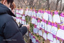 서울 속 산과 공원 21곳 해맞이 행사 정리 < 공원 < 조경·경관 < 기사본문 - Landscape Times 서울 속 산과 공원 21곳 해맞이 행사 정리