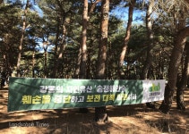 자연환경 < 환경생태·문화 < 기사본문 - Landscape Times 강릉 자연유산 송정 해송숲 개발압력에 사라지나…사업주 편 들어준 강원도 행심위에... 