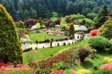 아침고요수목원, 한국관광 100선 4회 연속 선정 < 식물원 < 정원·산림 < 기사본문 - Landscape Times 아침고요수목원, 한국관광 100선 4회... 