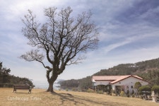 [탐방] “물, 빛, 소리가 만난 풍경”…바다와 어우러진 통영 민간정원 < 정원 < 정원·산림 < 기사본문 - Landscape Times [탐방] “물, 빛... 