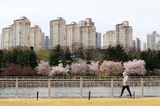 “미사섬을 자연과 공존하는 테마 숲공원으로 만들겠다” < 공원 < 조경·경관 < 기사본문 - Landscape Times “미사섬을 자연과 공존하는... 