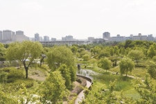 [탐방] “생태공원 포괄 ‘도심 속 수목원’으로 자리잡다” < 식물원 < 정원·산림 < 기사본문 - Landscape Times [탐방] “생태공원 포괄... 