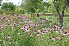 [탐방] “생태공원 포괄 ‘도심 속 수목원’으로 자리잡다” < 식물원 < 정원·산림 < 기사본문 - Landscape Times [탐방] “생태공원 포괄... 