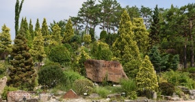 [탐방] “생태공원 포괄 ‘도심 속 수목원’으로 자리잡다” < 식물원 < 정원·산림 < 기사본문 - Landscape Times [탐방] “생태공원 포괄... 