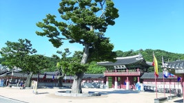 [조경시대] 다산 정약용 선생이 설계한 수원화성의 조경사적 가치 < 조경시대 < 오피니언 < 기사본문 - Landscape Times [조경시대] 다산 정약용... 