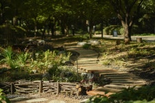 서울그린트러스트·신한금융투자, ‘느린 산책의 정원’ 조성... Landscape Times 서울그린트러스트·신한금융투자, ‘느린 산책의 정원’ 조성