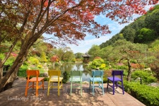 아침고요수목원, 가정의 달 주말 가드닝 체험 운영 < 식물원 < 정원·산림 < 기사본문 - Landscape Times 아침고요수목원, 가정의 달 주말... 