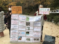 “‘해발 66미터 성미산’에 무장애숲길 개발 마포구는 주민과 소통하라” < 환경 < 환경생태·문화 < 기사본문 - Landscape Times “‘해발... 