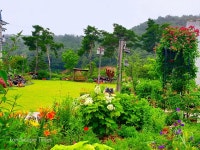 “일 년 내내 수백 종 야생화가 활짝 ‘오계절정원’” 울산시 4호... 수백 종 야생화가 활짝 ‘오계절정원’” 울산시 4호 민간정원 등록