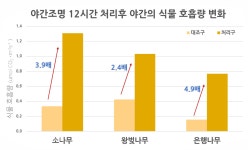 “나무를 위해 야간전구들 치워주세요” 나무 생장에 악영향 < 조경일반 < 조경·경관 < 기사본문 - Landscape Times “나무를 위해 야간전구들... 
