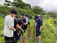 고양 청소년 농부학교 참가자 모집 < 도시농업 < 정원·산림 < 기사본문 - Landscape Times 고양 청소년 농부학교 참가자 모집