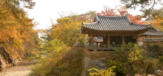 < 답사 < 환경생태·문화 < 기사본문 - Landscape Times [7월 뚜벅이 모집] 선비의 고장 예천에서 사색의 숲을 걸어볼까요?