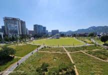 ‘열린송현녹지광장’에 풍성한 야생화 꽃단지 형성 < 공원 < 조경... Landscape Times ‘열린송현녹지광장’에 풍성한 야생화 꽃단지 형성