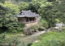 선비의 고장 예천에서 막걸리 한잔 하이시더 ~ < 답사 < 환경생태·문화 < 기사본문 - Landscape Times 선비의 고장 예천에서 막걸리 한잔... 