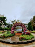 인천시청 애뜰광장 가을맞이 꽃단장 < 정원 < 정원·산림 < 기사본문 - Landscape Times 인천시청 애뜰광장 가을맞이 꽃단장