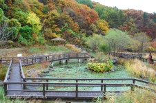 강원도, 숲해설사와 생태탐방로 함께 걸어요~ < 공원 < 조경·경관 < 기사본문 - Landscape Times 강원도, 숲해설사와 생태탐방로 함께 걸어요~
