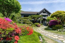 [카페가 있는 정원] 내추럴가든529 < 정원 < 정원·산림 < 기사본문 - Landscape Times [카페가 있는 정원] 내추럴가든529
