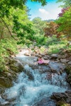 아침고요수목원, 시원한 계곡물과 정원 탐방 미션 함께 즐겨볼까? < 식물원 < 정원·산림 < 기사본문 - Landscape Times 아침고요수목원, 시원한... 