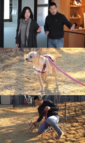 강형욱 훈련사, 후유증 있는 개를 위한 특별 훈련법 공개 [세상에 나쁜 개는 없다] < 교양 < 방송 < 기사본문 - 라이브엔 강형욱 훈련사, 후유증 있는...