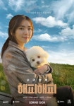 길은혜, 해피해피서 따뜻한 변신… 황유주·신지훈과 감동 케미 < 영화/문화 < 기사본문 - 라이브엔 길은혜, 해피해피서 따뜻한 변신… 황유주... 