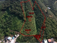 경매마당 공매정보 2008-041092-257의 시세, 권리분석, 상세정보